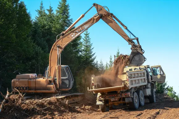 Rajabets Casino Soporte